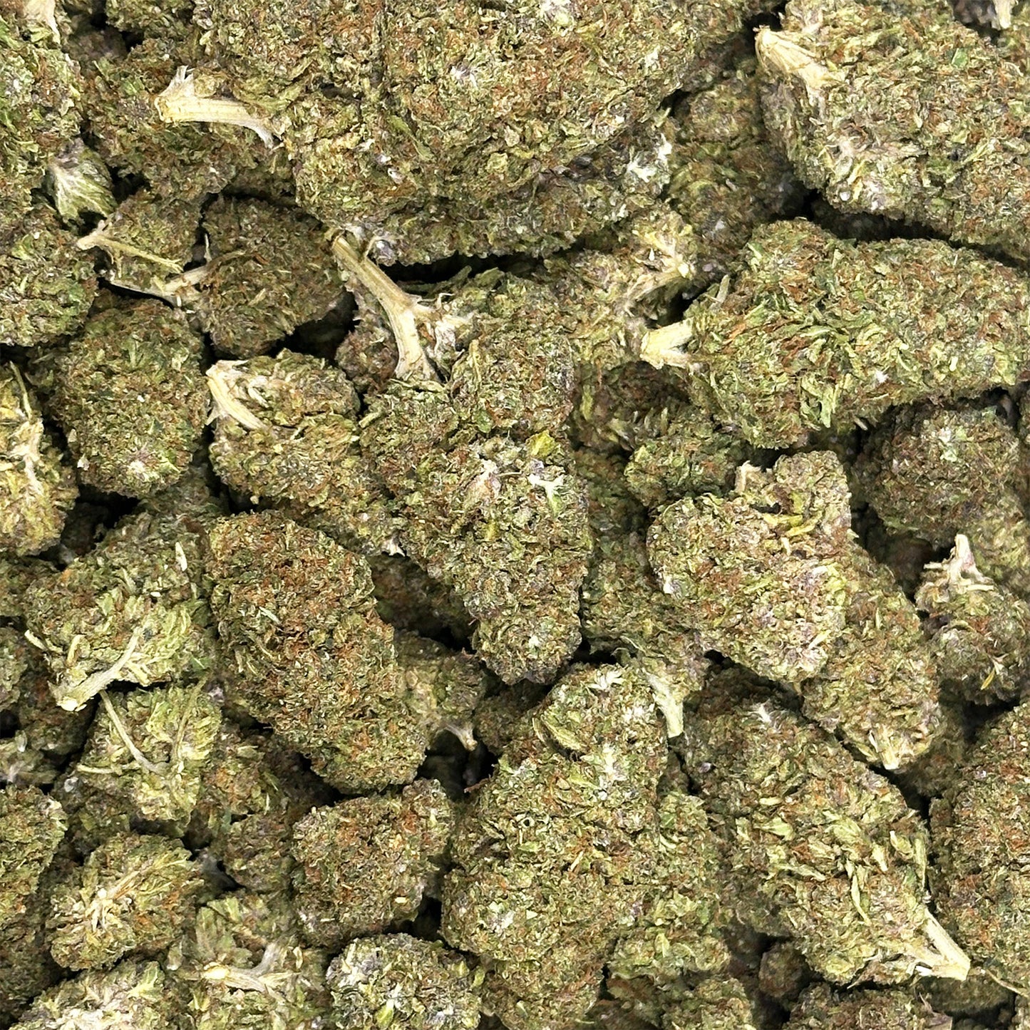 Cheap THCA Flower Pound (All Strains)