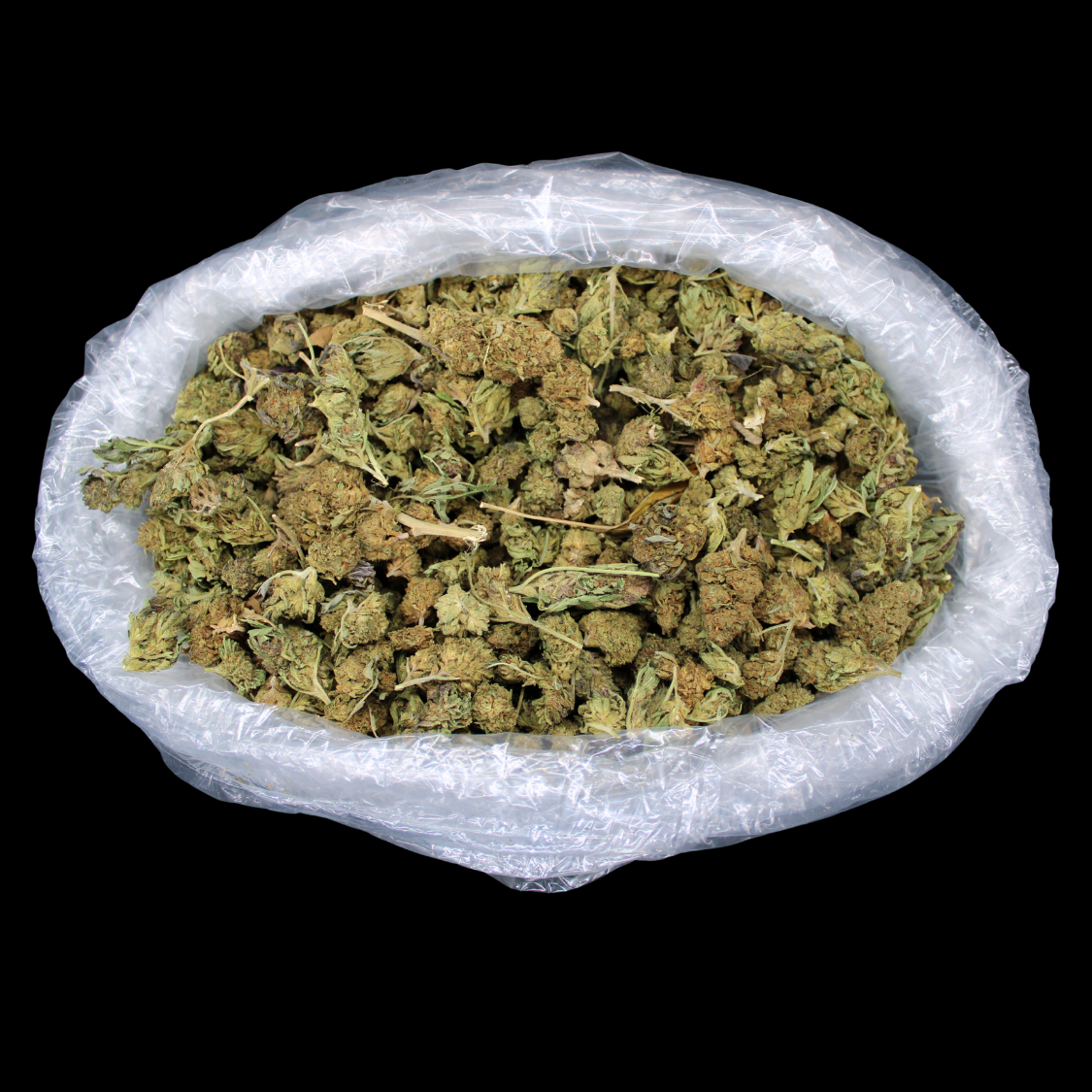 Supernova THCA Flower LB