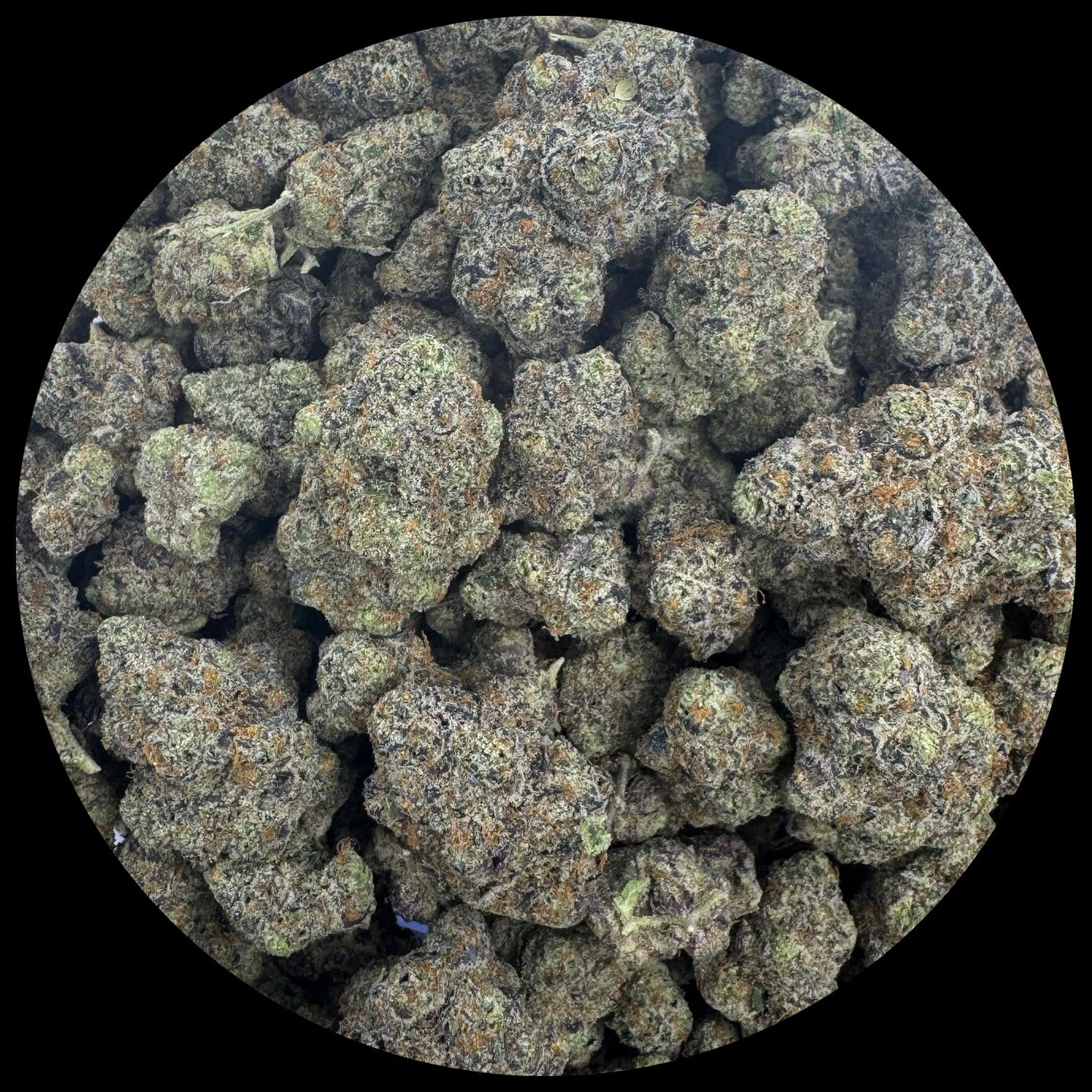 Bling Blaow Exotic Indoor THCA Flower Full Size Buds