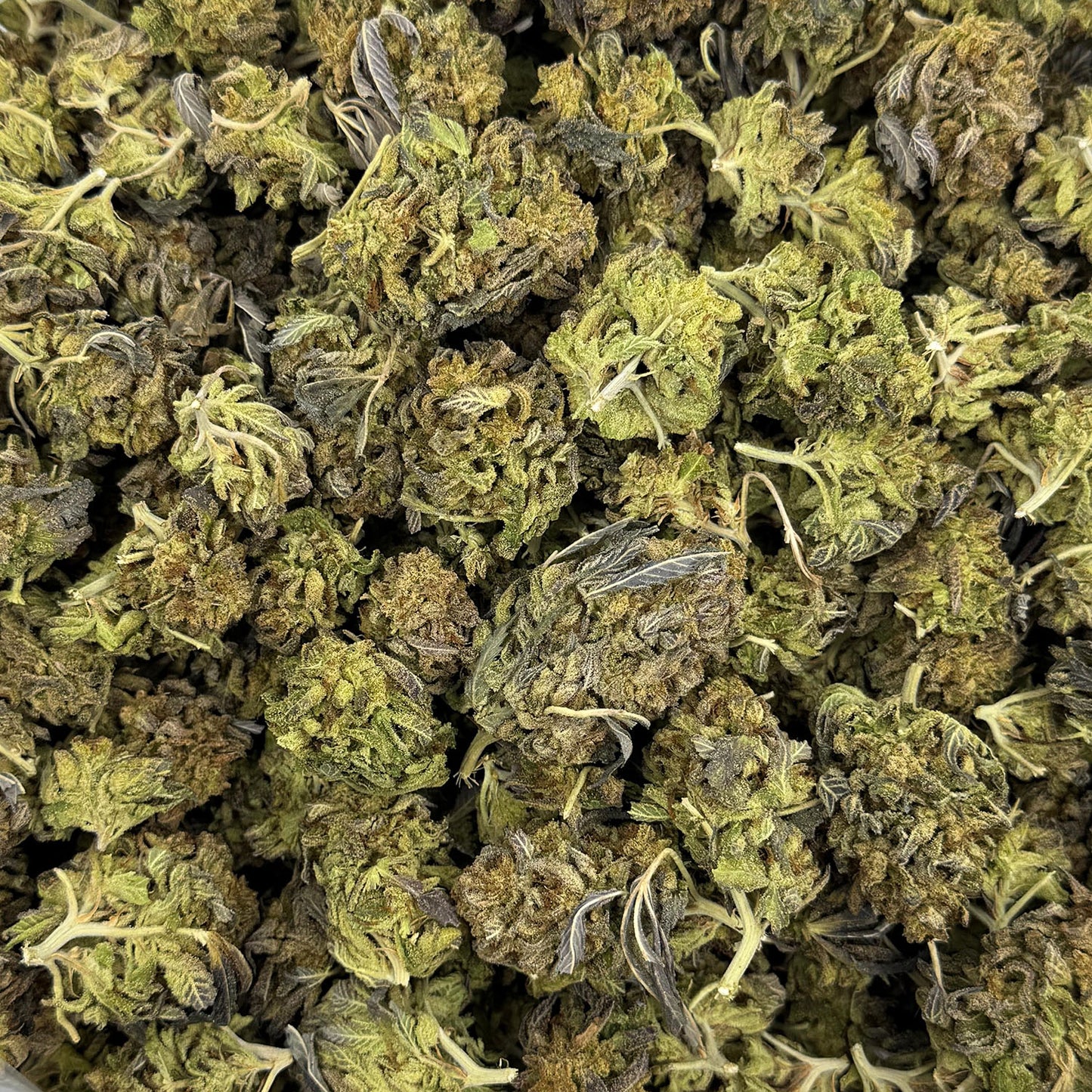 Cheap THCA Flower Pound (All Strains)