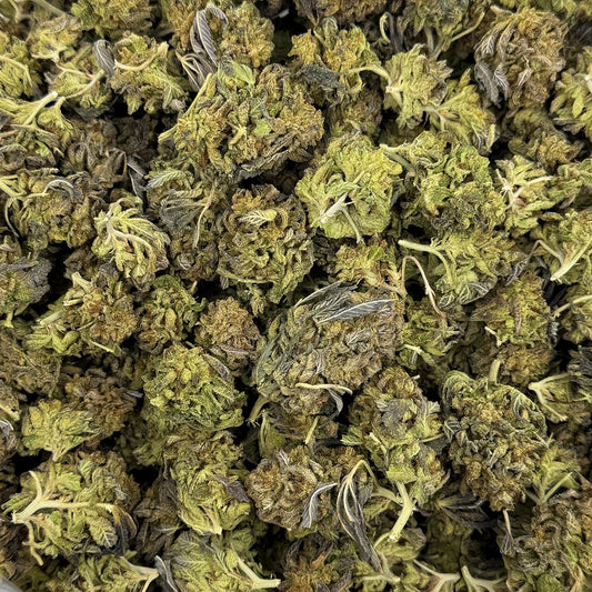 Gelato Float – Budget THCA