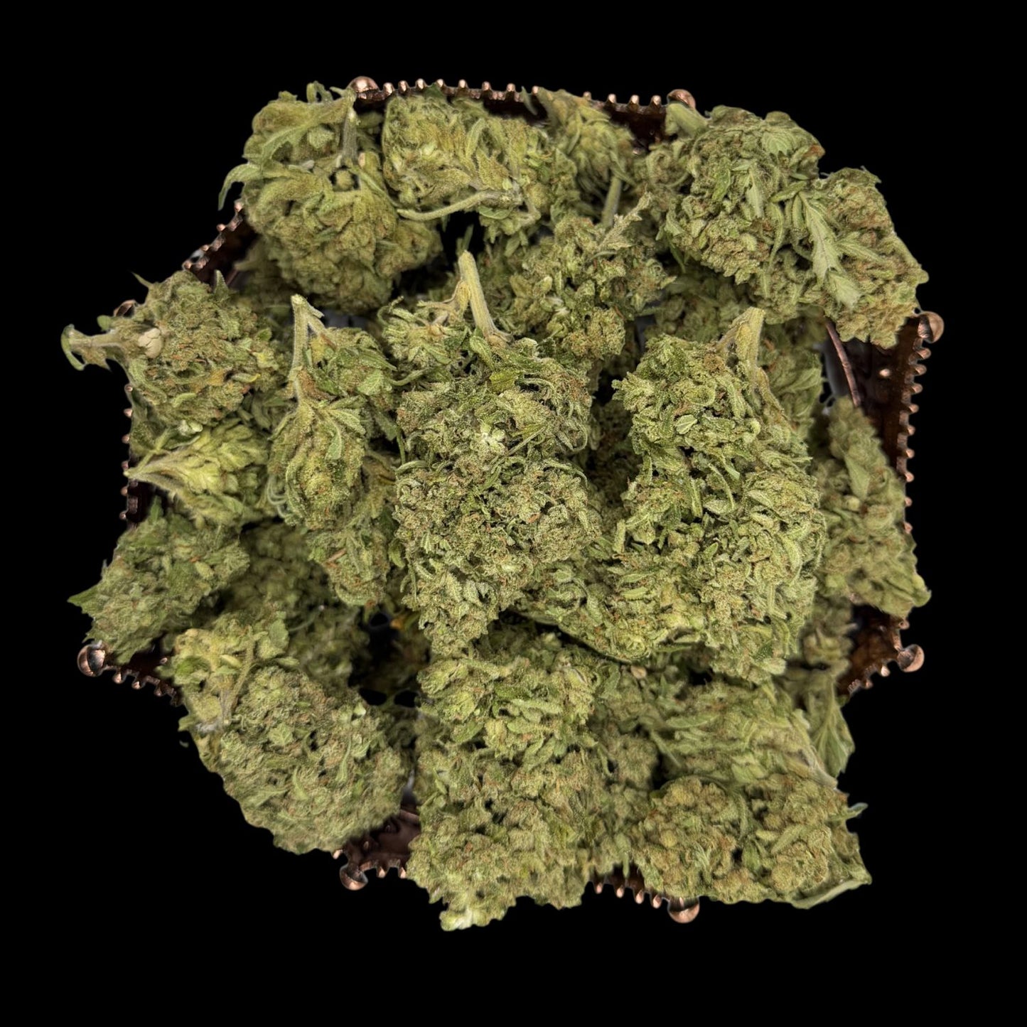 OG Kush Autoflower THCA (Light Seeds)