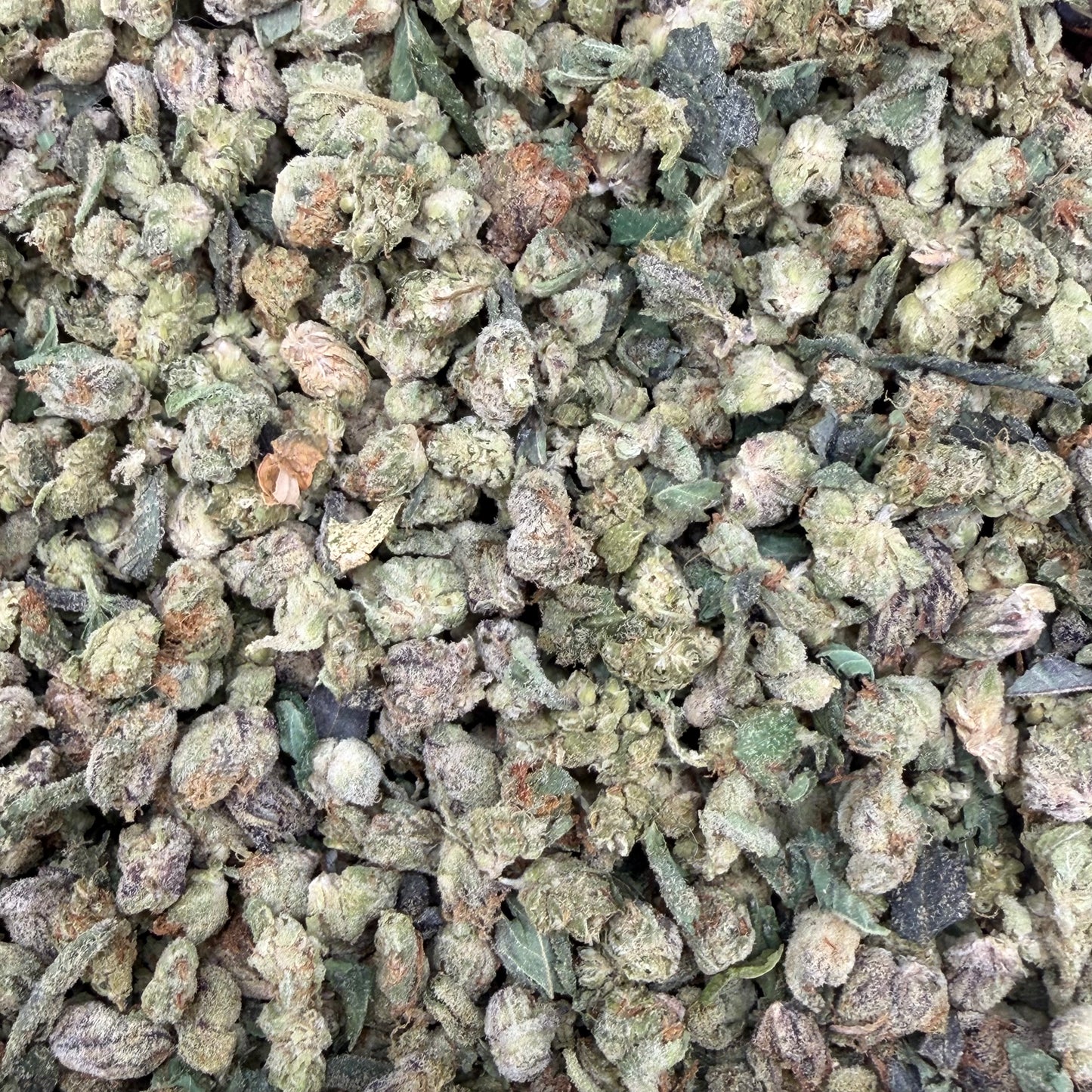 Bulk THCA Micros