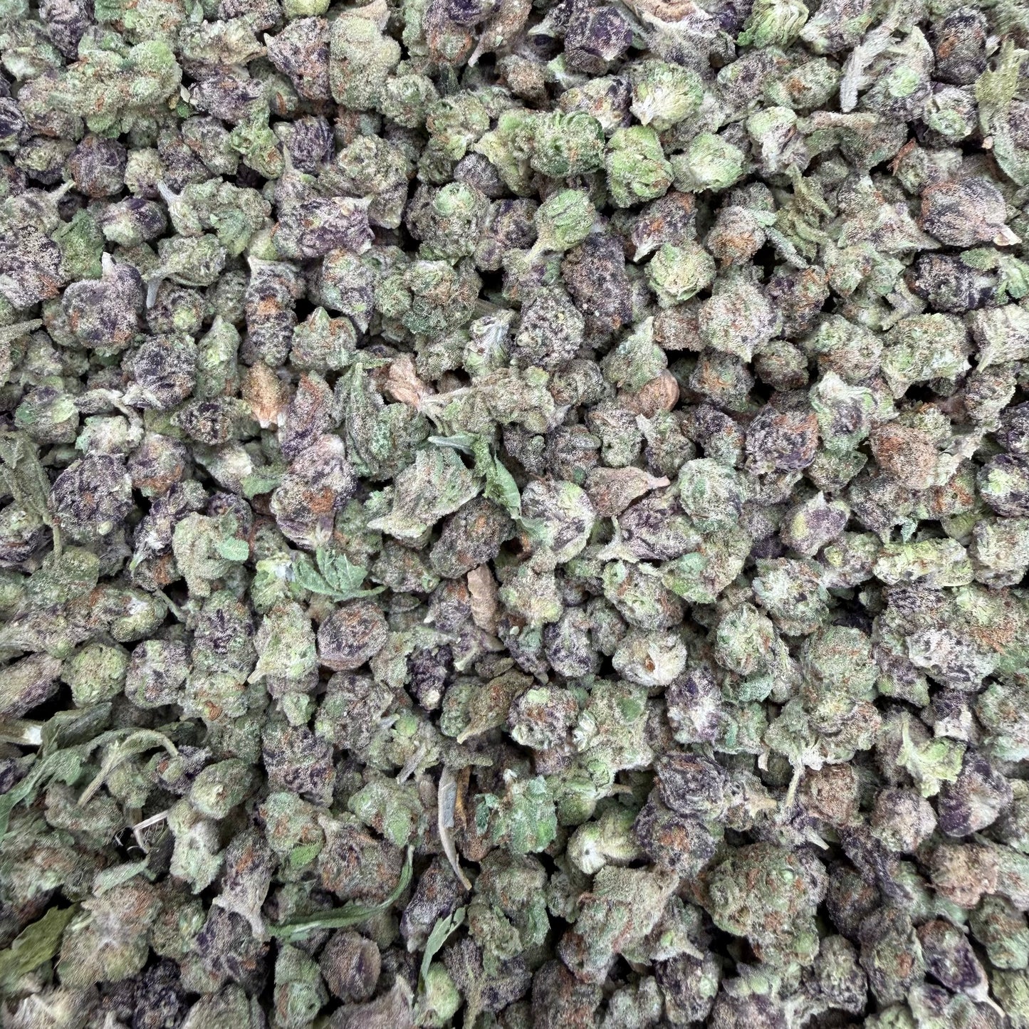 Blueberry Pancakes Indoor THCA Micros