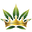 THCA King logo